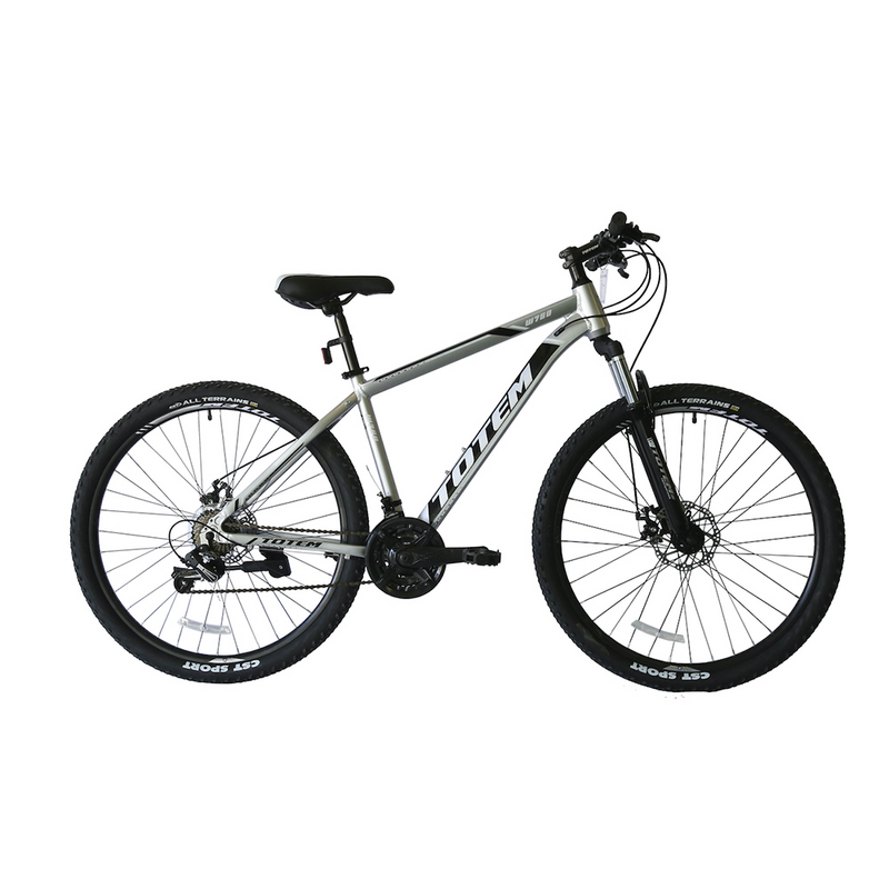 BICICLETA TOTEM W760 ARO 29